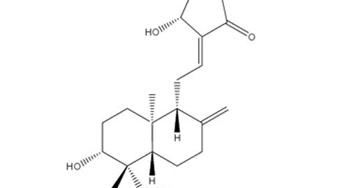 andrographolide