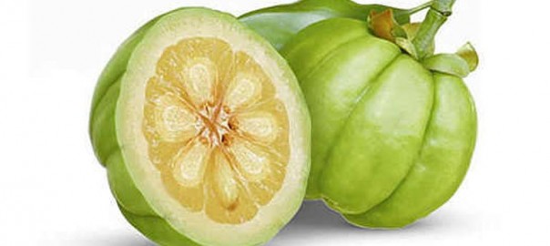 garcinia