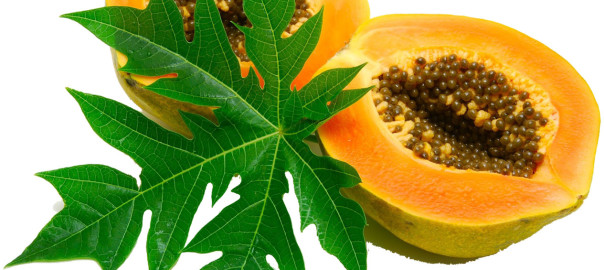 papaya